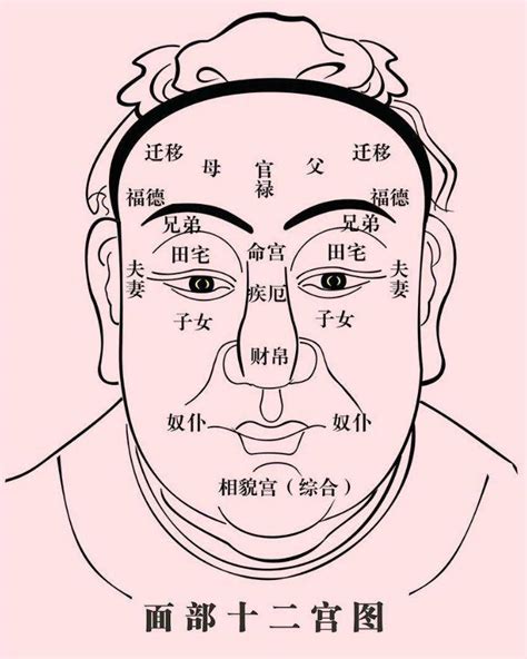 眉心紋面相|從眉毛看一個人的健康、財運、個性、愛情…太準了！。